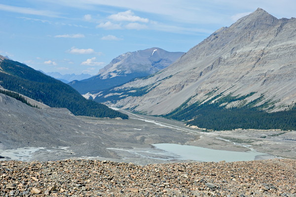 The Athabasca Glacier